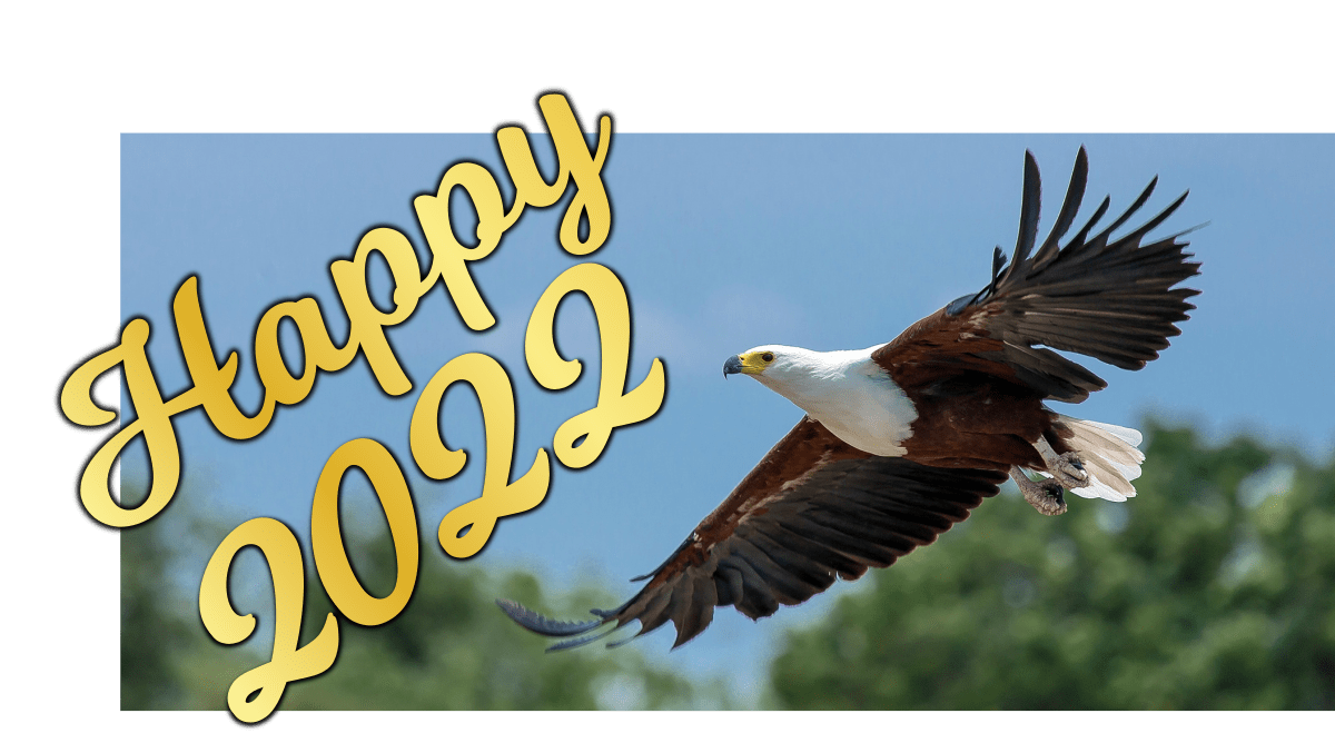 New Year 2022