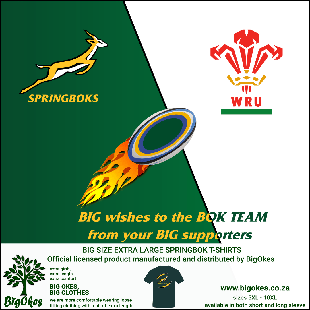 Bigokes.co.za Springboks vs Wales
