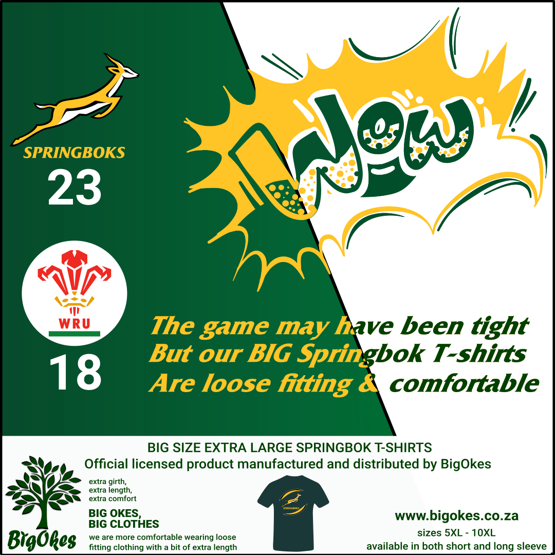 Bigokes.co.za Springboks vs Wales